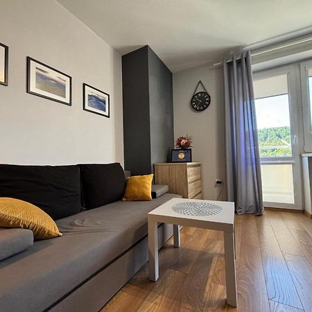 Apartament Wygodny Ustrzyki Dolne Extérieur photo