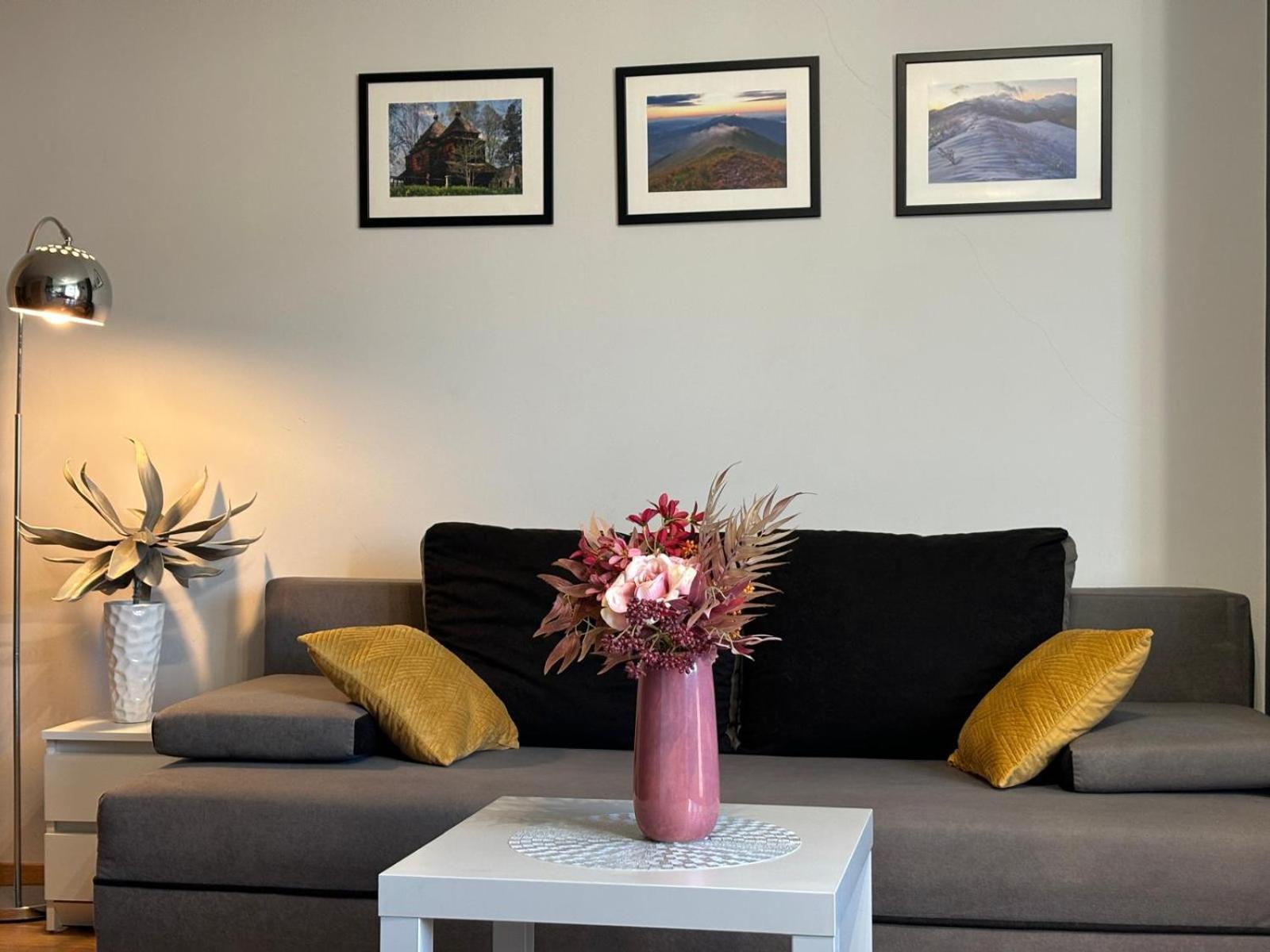 Apartament Wygodny Ustrzyki Dolne Extérieur photo