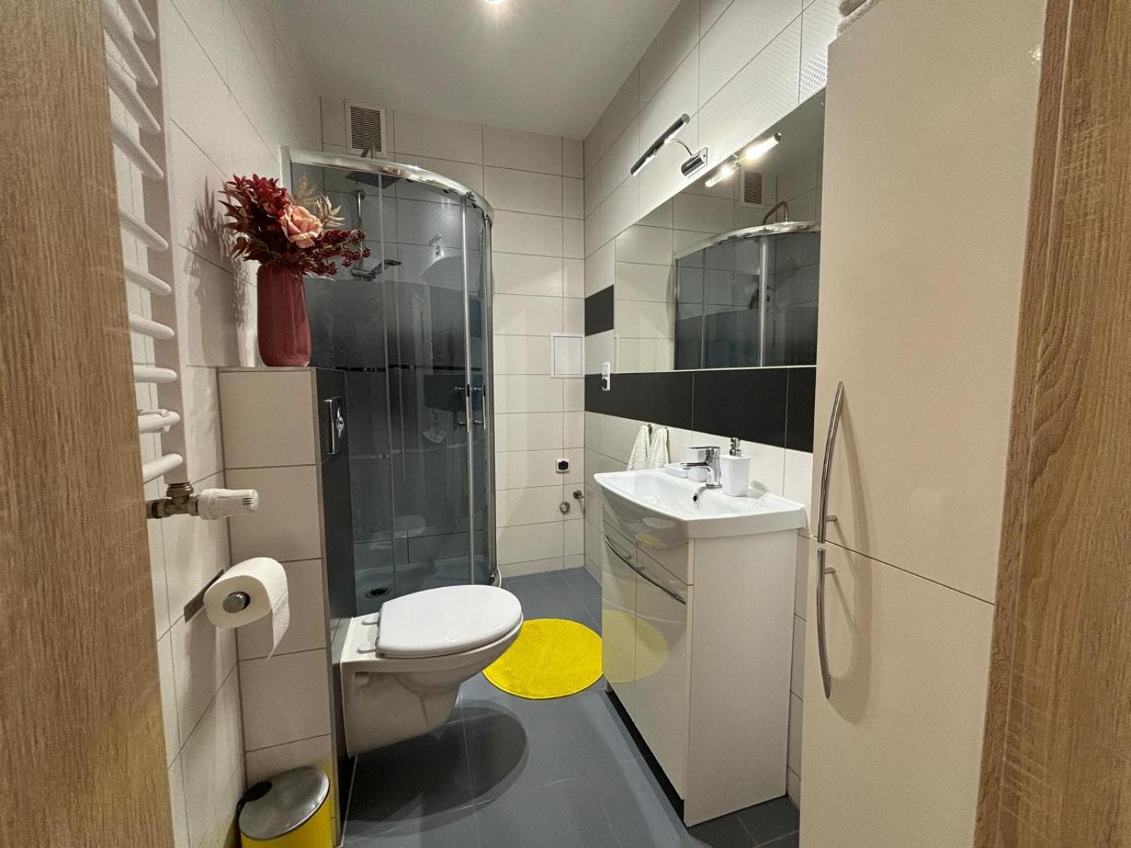 Apartament Wygodny Ustrzyki Dolne Extérieur photo
